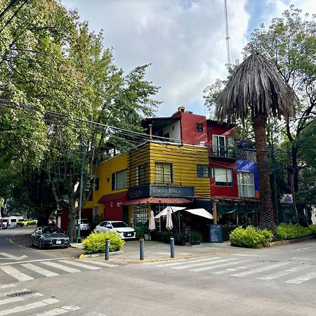 Collection O Casa Anzures Thematic, مدينة مكسيكو المظهر الخارجي الصورة
