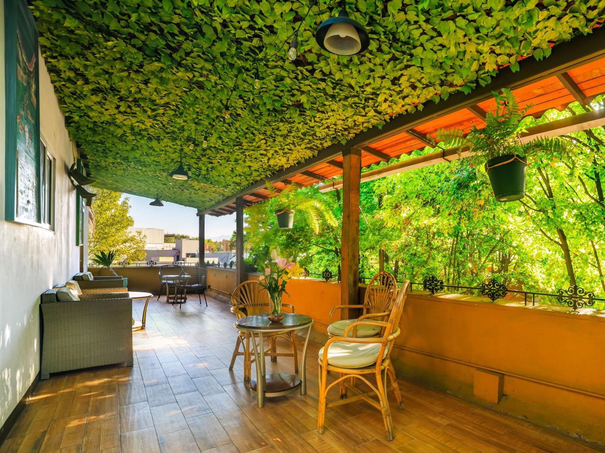 Collection O Casa Anzures Thematic, مدينة مكسيكو المظهر الخارجي الصورة